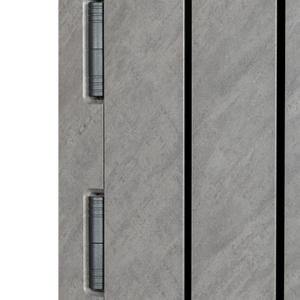 Додаткове фото дверей Булат Fortezza модель 563/556