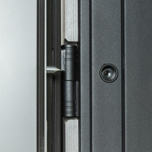 Додаткове фото дверей Булат Fortezza модель 563/556