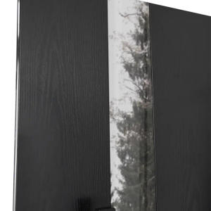 Двері Carat 536 (Black Wood + біла) з терморозривом модель комплектація Termix